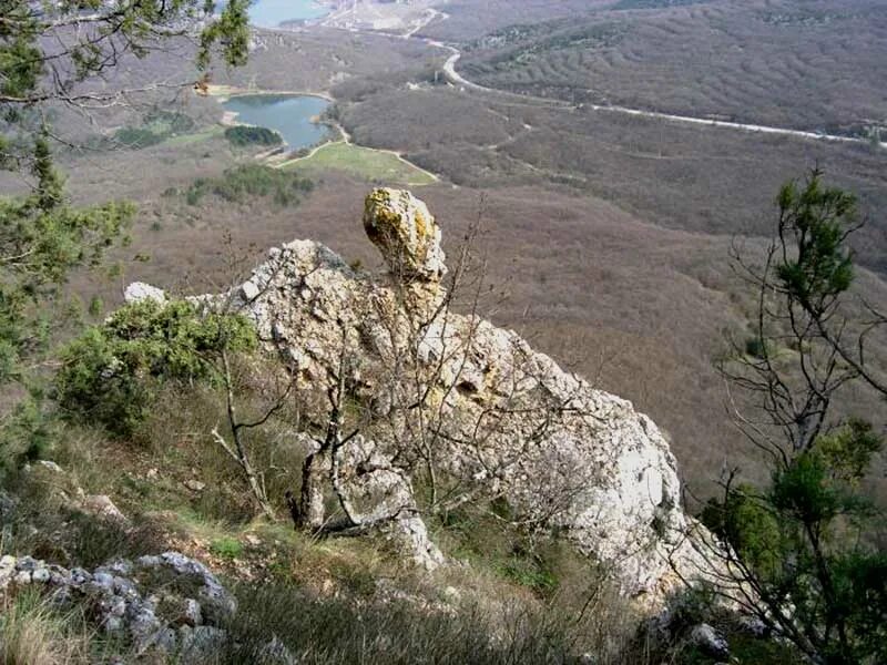 Рек головы