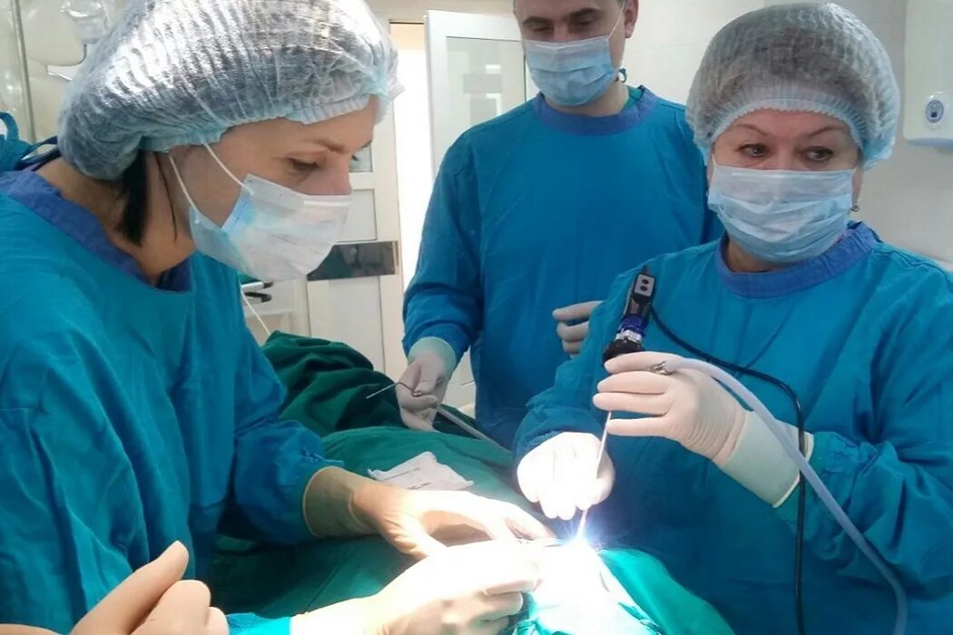 Эндоваскулярная хирургия. Реабилитация детей после операций