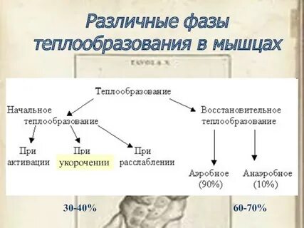 Разные фазы