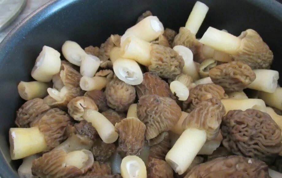 Сморчки грибы рецепт приготовления в домашних. Сморчки маринованные. Сморчки грибы маринованные. Маринованные сторччки. Сморчки маринованные на зиму.