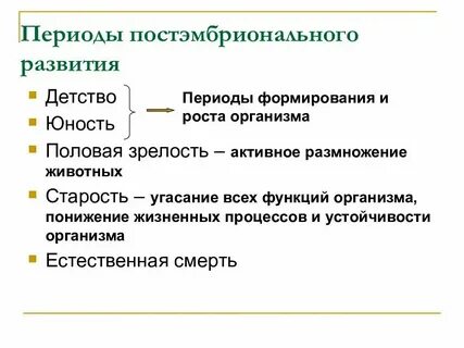 Закономерности постэмбрионального периода онтогенеза человека