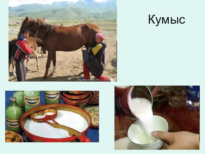 Верблюжий кумыс 3 буквы. Кумыс Башкирский. Якуты кумыс. Лошадь кумыс. Лошадь молоко кумыс.