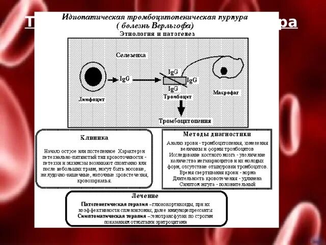 Тромбоцитопения что это симптомы. Болезнь верльгофа патогенез. механизм развития болезни верльгофа.. клинические симптомы болезни верльгофа. болезнь верльгофа этиология.