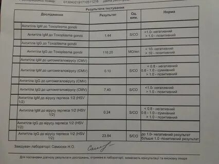 Антитела герпеса 1 и 2 igg