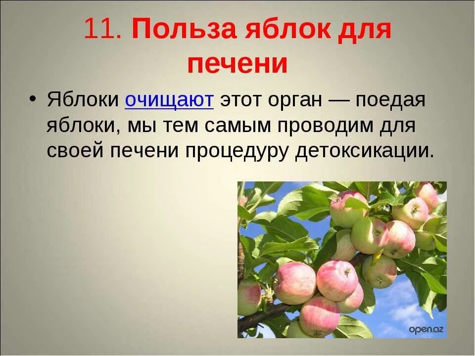 Яблоки для организма женщины. Польза яблок. чем полезно яблоко. чем полезно яблоко для организма человека. польза яблок для организма.