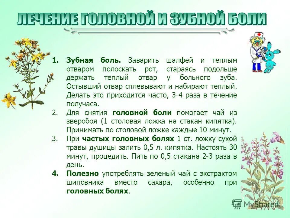 шалфей от зубной боли. шалфей для полоскания зубов. шалфей фитофарм. шалфей трава резаная. шалфей для полоскания горла.