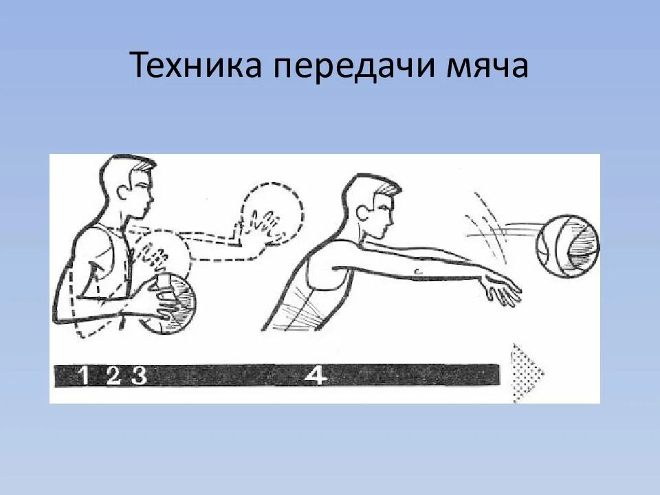 Ловля и передача ведение. Бросок мяча снизу на месте. Ловля мяча на месте.. Ловля и передача мяча. Ловля и передача мяча двумя руками от груди-. Техника передач.