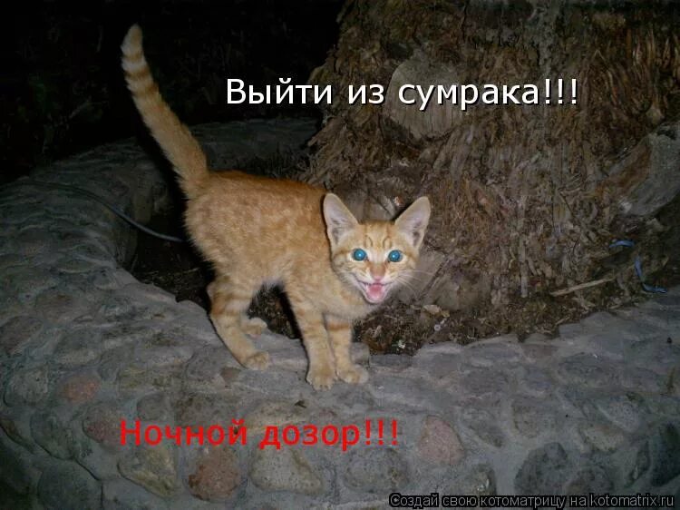 Всем выйти из сумрака. Всем выйти из сумрака хабенский. Выходи из сумрака. Выйти из сумрака. Всем выйти из тени ночной дозор.