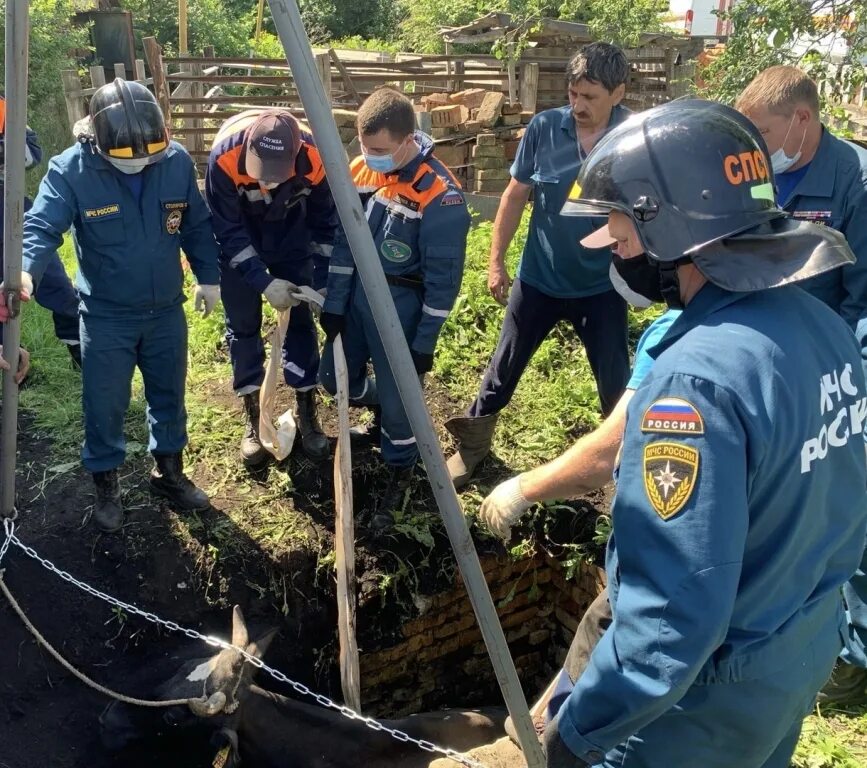 Новости мордовии сегодняшний выпуск. Последние известия мордовии. мчс россии спасение людей колодец. нарконовости мордовия. начальник мчс лямбирского района республики мордовия.
