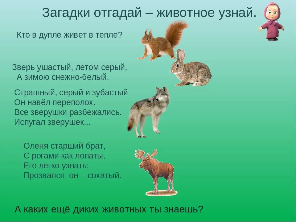 1 загадка про животных. Загадки про диких животных. Загадки о животных. Загадки про животных для малышей. Загадки про диких животных для детей.