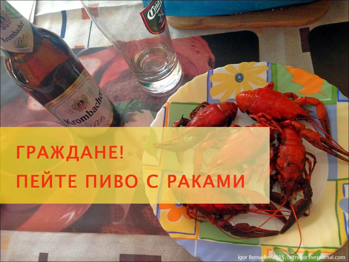 Пиво вобла. Как пить раки. Как пить раки. Что едят рачки. Как пить раки.