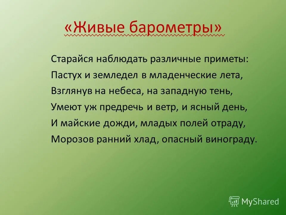 Наблюдать стараться. Живые барометры.