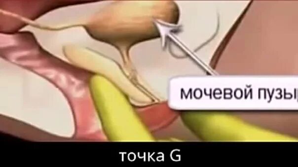 Сквирт Во Время Акта