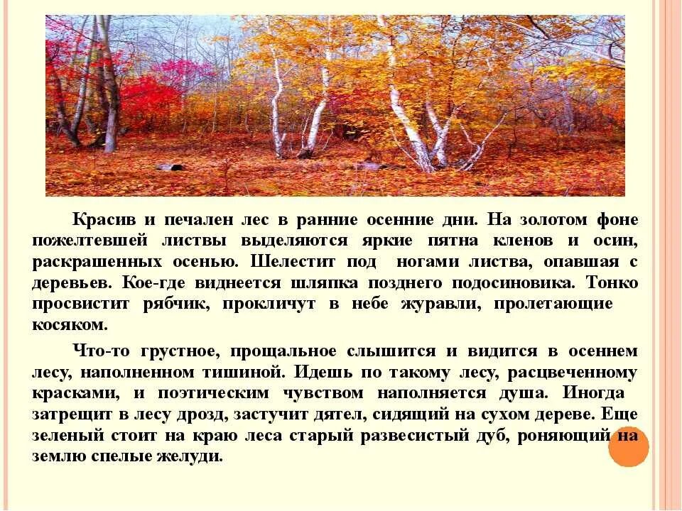 Сочинение на тему осень. Маленькое сочинение про осень. Сочинение на тема оаснень. Сочинение красота осени. Осенний лес сочинение 2