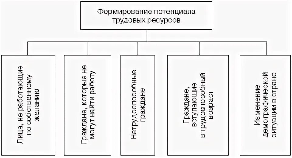 Факторы формирования трудовых ресурсов. Факторы влияющие на формирование трудовых ресурсов. демографические факторы, влияющие на формирование трудовых ресурсов:. факторы развития трудового потенциала. формирование потенциала трудовых ресурсов.