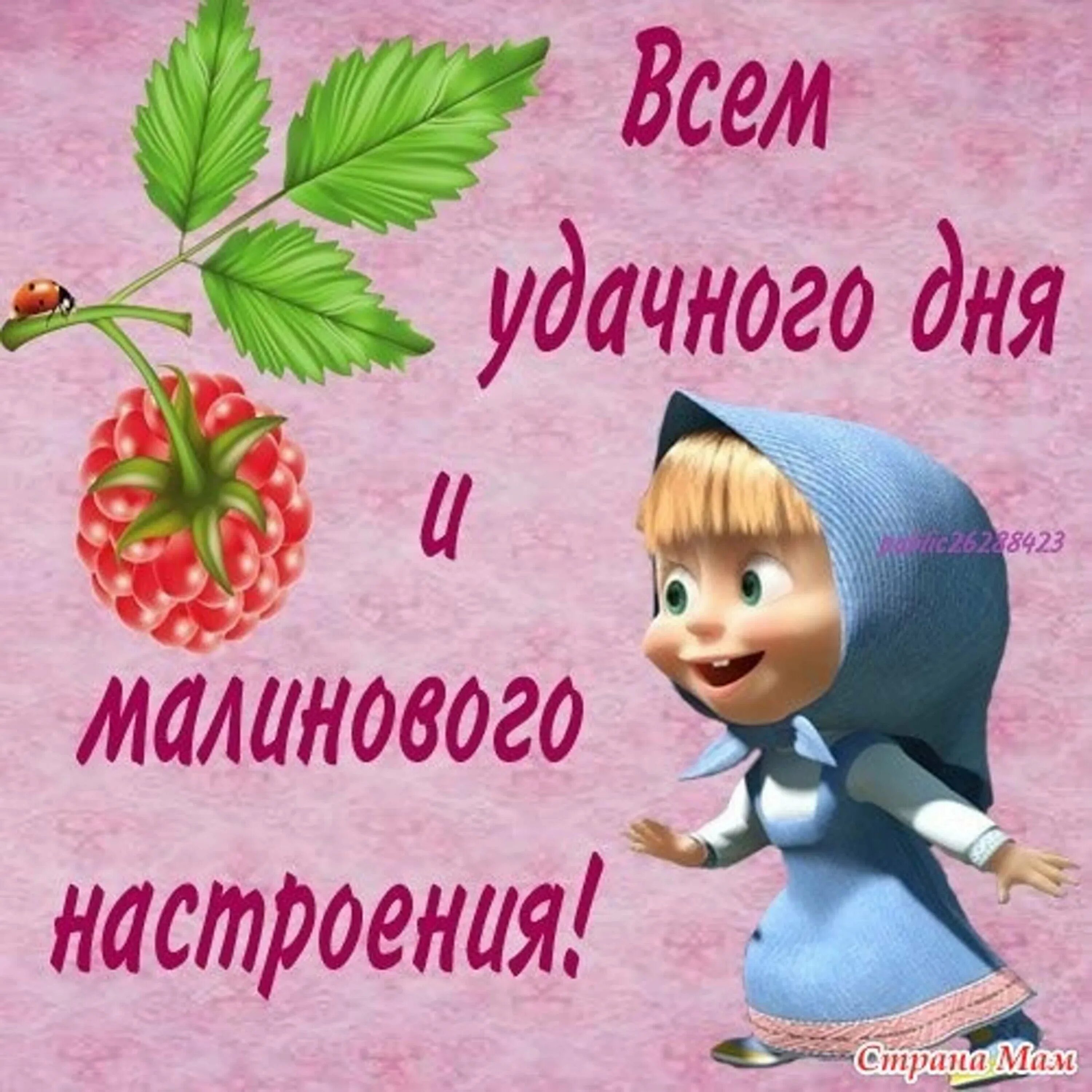 Удачного дня прикольные. Всем удачного дня. Хорошего дня и отличного настроения прикольные. Всем хорошего настроения и удачного дня.