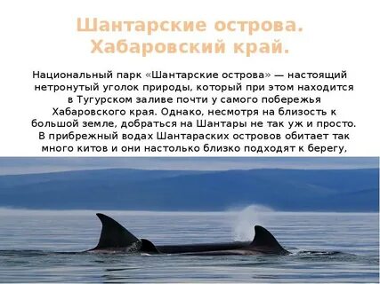 Самый крупный остров в хабаровском крае