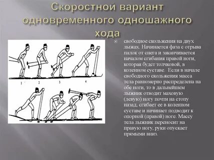 Какой лыжный ход самый скоростной ответ