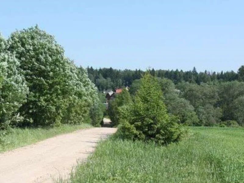 Земля ижс. Утарка агаповский район. Снт малахит орехово-зуевский район. Земельный участок фото. Продажа земельных участков таллом костино.