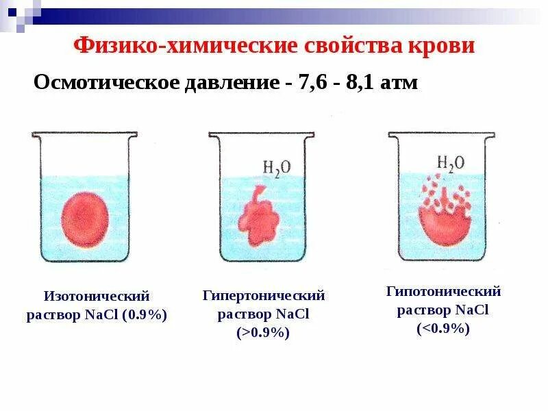 Эритроциты в растворе хлорида натрия. Физико-химические свойства крови осмотическое давление. Осмотическое давление клеток крови. Физикохимическик свойства крови. Физико-химические свойства крови.