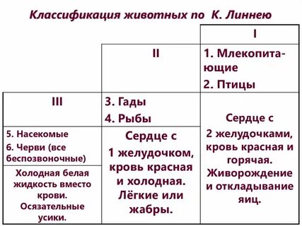 Линней таблица