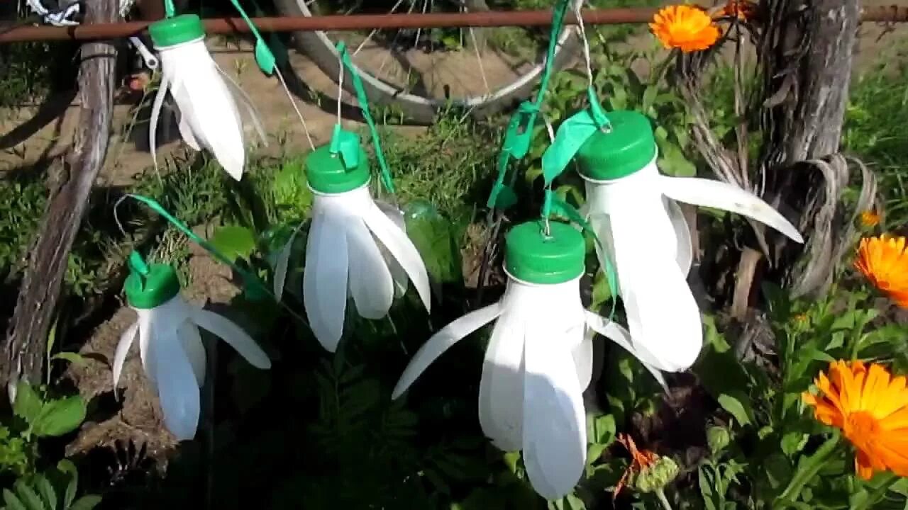 Из пластиковой бутылки для дачи. Из пластиковой бутылки для дачи. Из пластиковой бутылки для дачи. Идеи для сада из пластиковых бутылок. Изделия из баклажки.