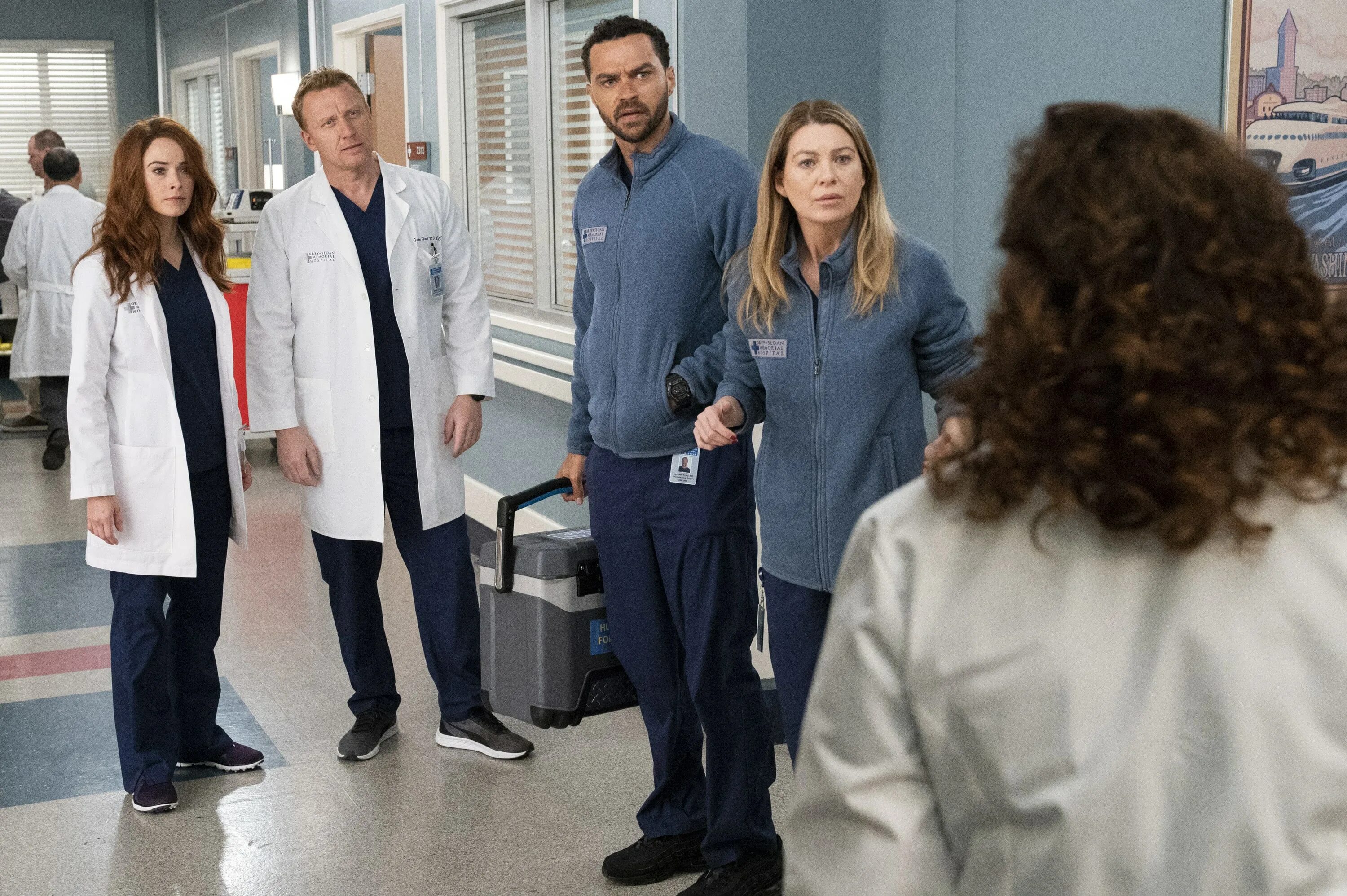 Greys anatomy watch. Бриджит риган анатомия страсти. grey&#039;s anatomy меган хант. меган анатомия страсти. megan hunt анатомия страсти.
