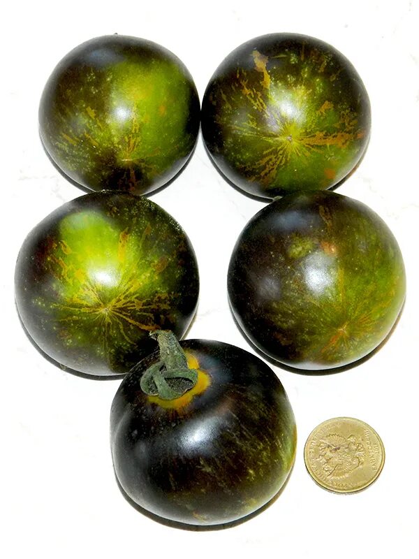 Индет. Помидоры полосатый орех. Томат салатная находка. Томат атомный синтез. Томат криптонит описание.