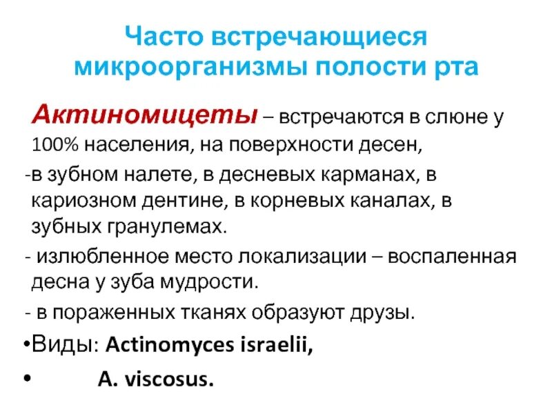 Микроорганизмы полости рта. Классификация микроорганизмов полости рта. Часто встречающиеся микроорганизмы полости рта. Сапрофитные микроорганизмы полости рта. Взаимодействие микроорганизмов полости рта.