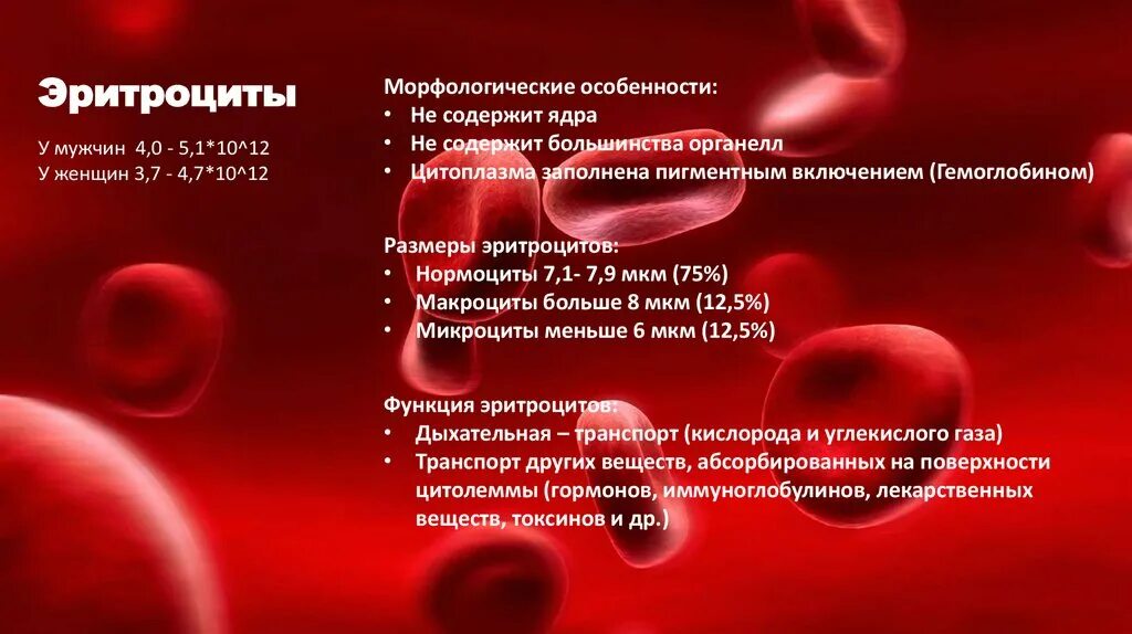 Повышены эритроциты в крови у взрослого мужчины. Эритроциты норма. Дыхательная функция эритроцитов. Морфологические особенности эритроцитов. Эритроциты норма у мужчин.