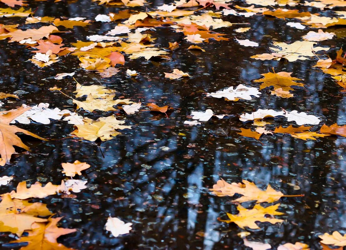 плачущее небо под ногами. небо плачет :. плачущее небо под ногами. осень. осень плачущее небо.