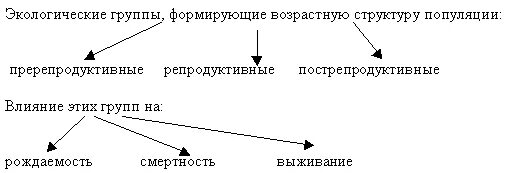 Возрастные группы популяции. Структура популяции схема. Структура популяции биология 9 класс. Возрастная структура популяции. Возрастная и пространственная структура популяции..