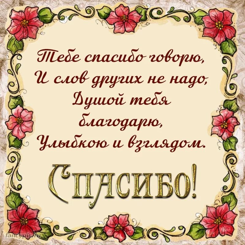 Стихи про благодарность. Стихи благодарности. Спасибо в стихах. Стихотворение благодарность. Красивые стихи спасибо.