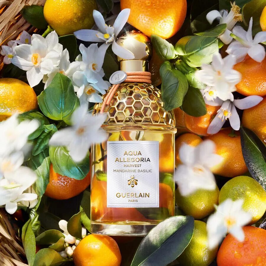 Aqua Allegoria Harvest Mandarine basilic,. Allegoria basilic Aqua Allegoria базилик и мандарин. Духи Guerlain Aqua Allegoria Mandarine-basilic. Аква аллегория мандарин базилик пирамида.