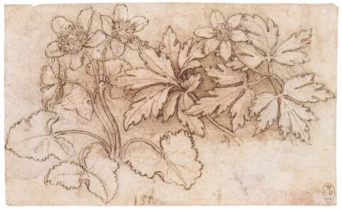 Coleção de obras (pinturas, desenhos, esboços, esboços) do grande Leonardo da...