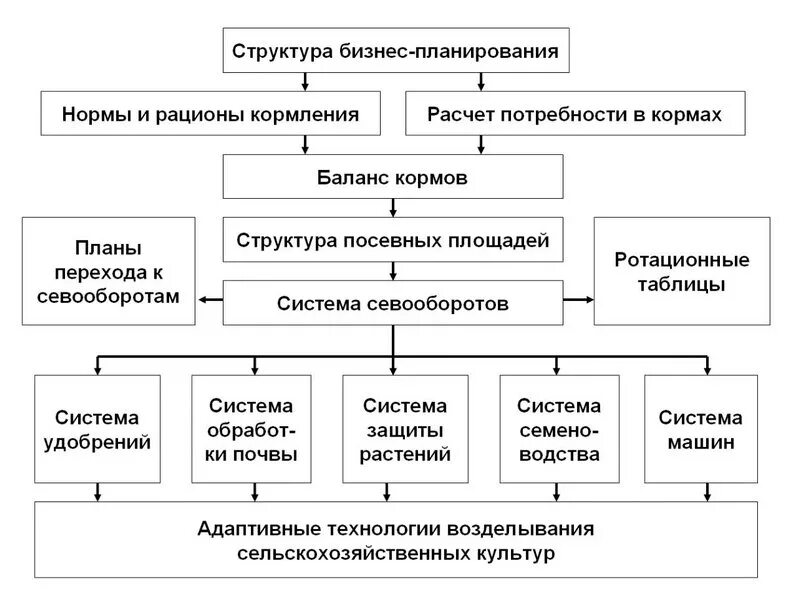 Иерархия МГУ. Структура мгу
