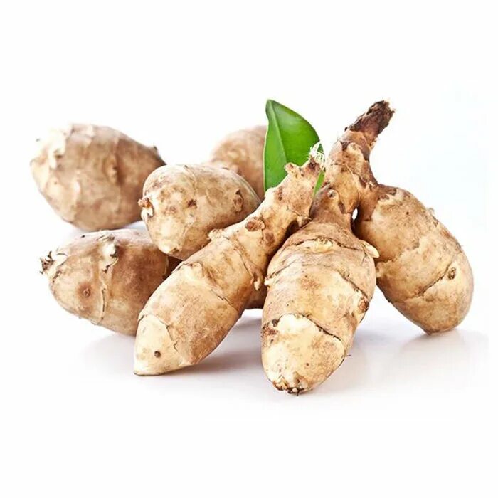 Сорта топинамбура с крупными клубнями. Земляной картофель топинамбур. Топинамбур и артишок. Корень топинамбура. Топинамбур клубненосный.