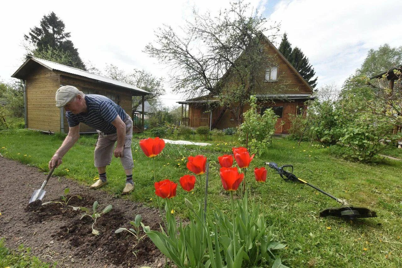 Дачник. Дачник. Садовник. Агроном. Дачник это.