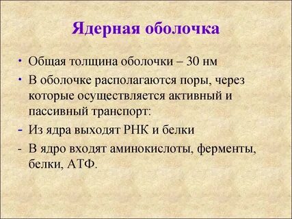 Общая толщина