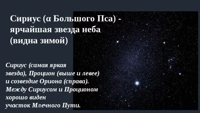 Почему днем не видно на небе звезд. Самая яркая звезда. Сириус Созвездие самая яркая звезда. Большой пес самая яркая ЗВАЕЗ-да. Самая яркая звезда в созвездии большого пса.