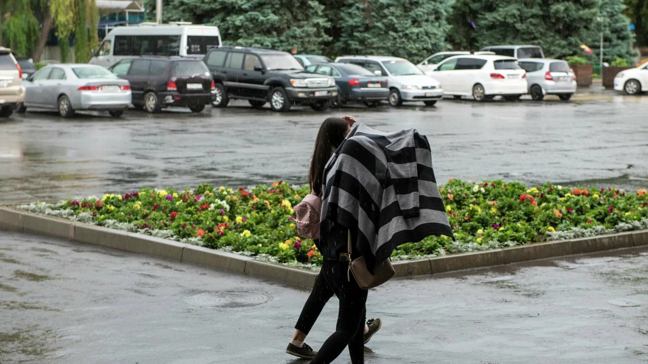 Поможет ли дождь. Дождливый день. Дождливая погода. Дождь в Бишкеке. Ожидаются дожди.