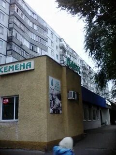 Макаренко 38 старый оскол