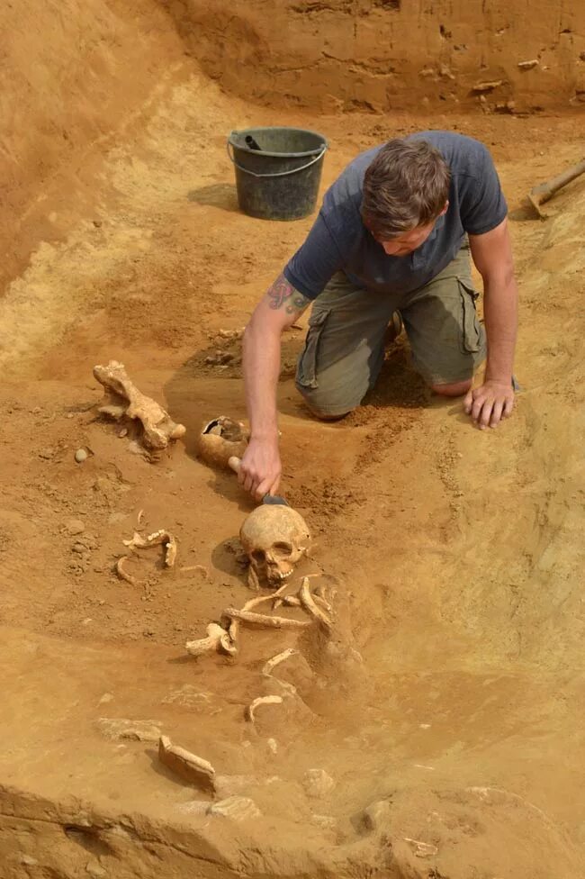 маленькие археологи. маленькие археологи. археологические находки. квест археология для детей. игра археолог для детей.