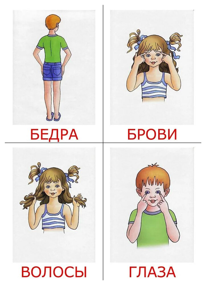 Карточки изображение человека. Карточки части тела. части тела для детей. развивающие карточки части тела. карточки тело человека для детей.