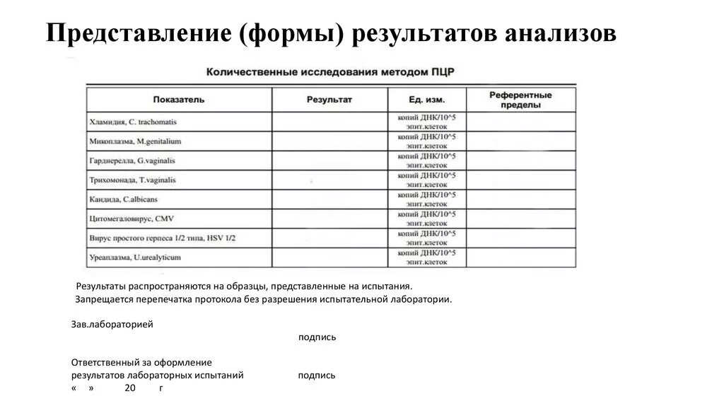 Исследование образцов форм. Исследование методом пцр пример. бланки результатов лабораторных исследований. форма пцр теста образец. как выглядит направление на пцр.