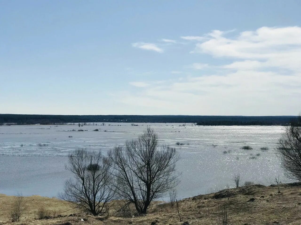 Уровень воды в жиздре козельск сегодня. Река Жиздра разлив. Разлив Жиздры в Козельске. Разлив воды в Козельске. Разлив Жиздры в Козельском районе.