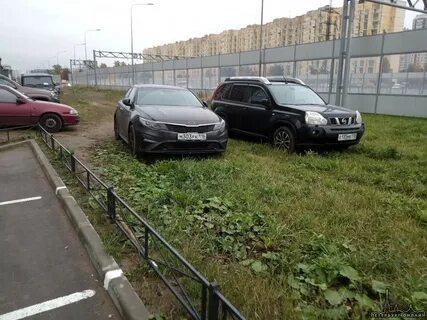 Парковка на газоне спб