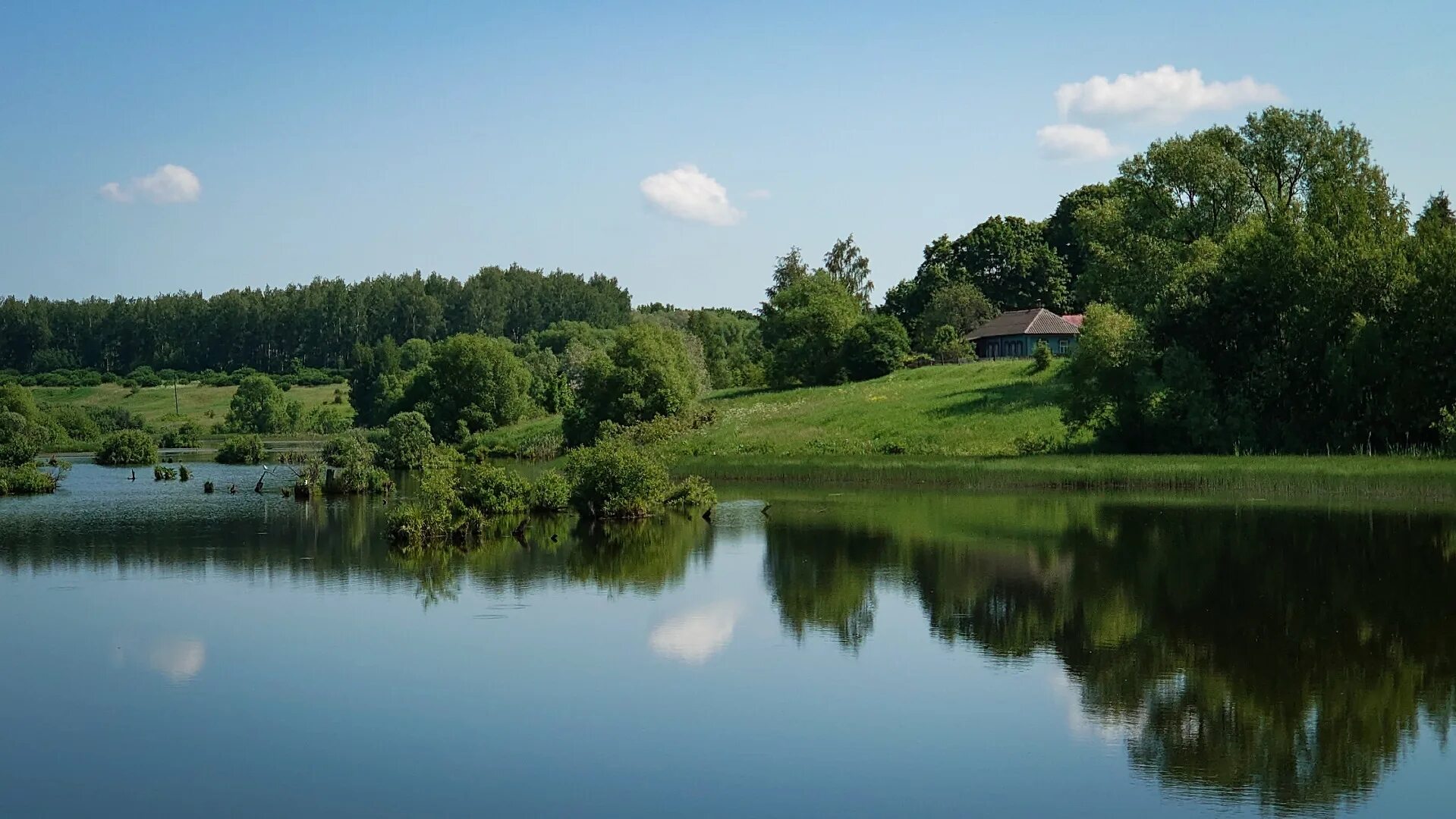 Республиканская подлесный. Подлесное Курск. Подлесный Курск база отдыха. Подлесный Тульская область. Подлесный Курск база отдыха фото.