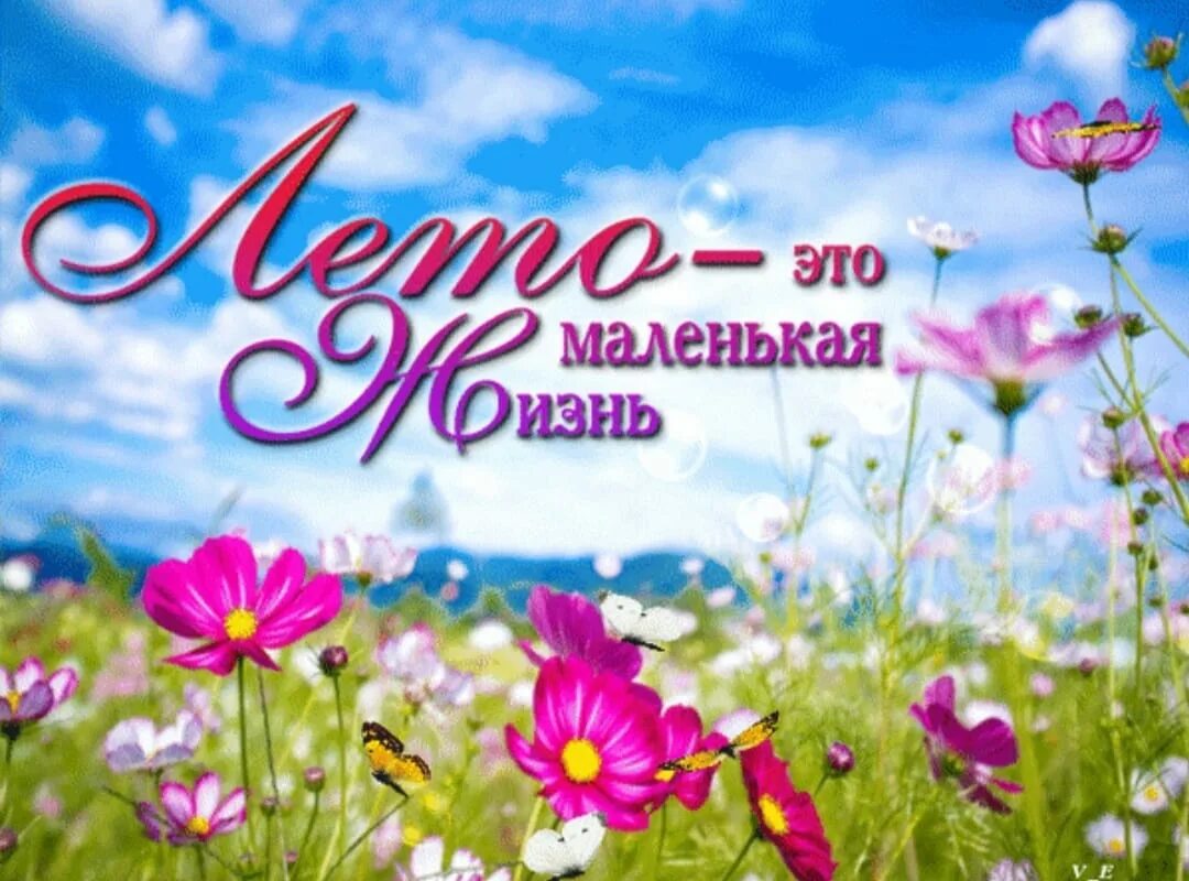 Лето это маленькаяжихнь. Лето это маленькая жизнь mp3. Лето это маленькая жизнь mp3. Лето это маленькая жизнь картинки. Лето - это маленькая жизнь.