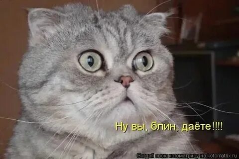 Ну ты знаешь ответ